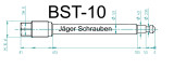 Titan (Ti6Al4V) - brake pad pin specialcolors